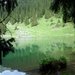 Горное лесное озеро,вид из леса