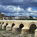 Римский мост, река Гвадалквивир, Кордова, Испания