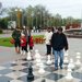 Парк шахматы