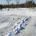 Оставляя следы на белом снегу