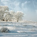 Зимний пейзаж с кремовым оттен