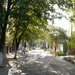 Улица в Ростове