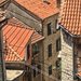 Красные крыши Черногории