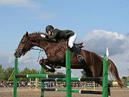В Волгограде пройдет Открытый Кубок Волгоградской области по конному спорту