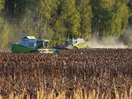 В Волгоградской области аграрии намолотили 2 млн  607 тыс. тонн зерна
