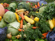395 тысяч тонн овощей реализовано хозяйствами волгоградского региона 