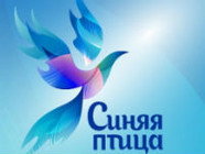 Волгоградцы примут участие в финале Всероссийского конкурса «Синяя птица»