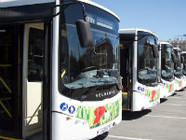 В Волгограде пригородные автобусы № 172 и № 102 не вышли на линию