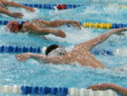 Волгоградцы завоевали  девять золотых медалей на чемпионате России по плаванию