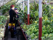 В Волжском создадут детский ботанический сад