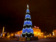 В Волгограде началась установка новогодней елки 