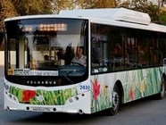 В Волгограде приобретут  газомоторные автобусы