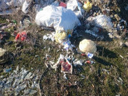В Волгограде нашелся «хозяин» свалки опасных медицинских отходов