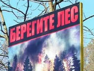 В лесах волгоградского региона начинается период пожароопасного сезона