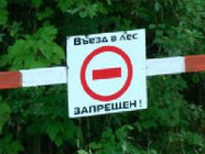 В Волгограде до 15 мая ограничено посещение лесов