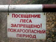 В Волгограде и области продлено ограничение на посещение лесов