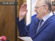 Жириновский обвинил Михеева в том, что на него работает юридический НИИ