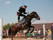 В Волгограде пройдет Второй открытый кубок по конному спорту