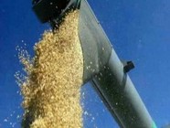Аграрии Волгоградской области намолотили более 3,5 миллионов тонн зерна