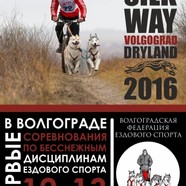 В Волгограде состоится соревнование велосипедистов в собачьих упряжках