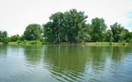 В Волгоградской области восстановят озера Волго-Ахтубинской поймы