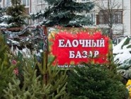 В Волгограде открылись  111  ёлочных базаров