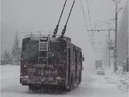 В Волгограде заработает «горячая линия» по вопросам транспортного обслуживания