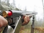 Браконьера из  Калачёвского района будут судить за убийство трёх косуль