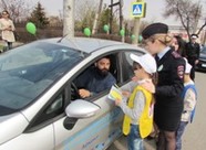 В Волгограде прошла «Флэшмоб-эстафета «Зеленая волна»