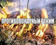 Жара наступает: В Волгоградской области введен особый противопожарный режим