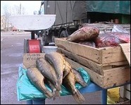 В Волгоградской области продавали небезопасные продукты