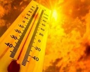 Жара, июль: МЧС предупреждает волгоградцев о температуре до +40…+42ºС 