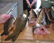 В Волгоградской области на рынке торговали рыбой неизвестного происхождения