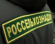 В Волгоградской области школа-интернат нарушала ветеринарное законодательство 