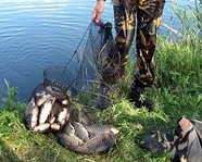 Под Волгоградом пресечена деятельность браконьеров