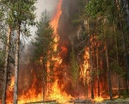 МЧС по Волгограду объявило экстренное предупреждение о чрезвычайной пожароопасности