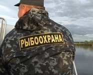 Под Волгоградом поймали браконьера с 90-метровой сетью 