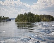 Волгоград вошел в десятку лидеров всероссийской акции «Вода России»