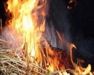 Под Волгоградом раздосадованная женщина спалила 20 тонн соседской соломы