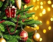 Волгоградский МЧС рассказал, как нарядить новогоднюю ёлку 