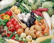Волгоградский регион вырастил более миллиона тонн овощей