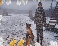 Волгоградские кинологи записали видео к году собаки
