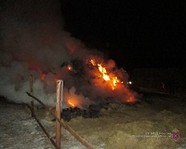Под Волгоградом сгорело 50 тонн сена