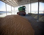 Волгоградские аграрии собрали 5,6 млн тонн зерна