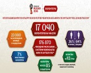 Более 1000 волонтеров будут работать в Волгоградской области во время ЧМ-2018 