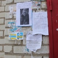 В Волгоградской области продолжаются поиски без вести пропавшей школьницы