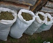 В Волгограде под суд идет ОПГ, пытавшаяся сбыть 190 кг наркотиков 