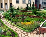 Волгоградский ботанический сад угостит всех желающих фиточаем