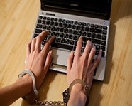 В Волгограде задержан распространитель порнографии