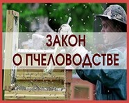 В Волгоградской области появится День пчеловода